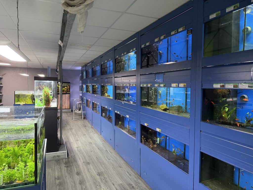 Tropical Fish and Plant Delivery!