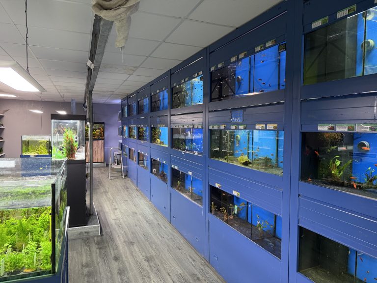 Tropical Fish and Plant Delivery!